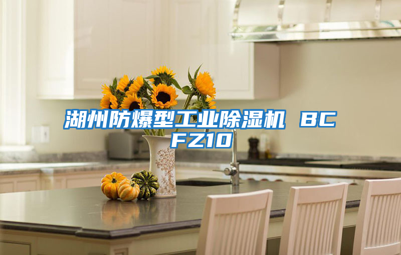 湖州防爆型工業除濕機 BCFZ10