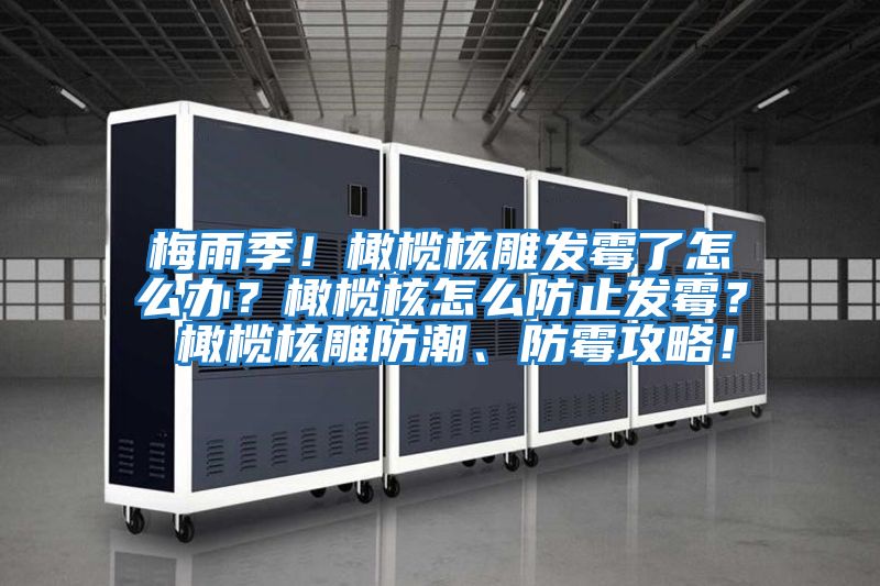 梅雨季!橄欖核雕發(fā)霉了怎么辦?橄欖核怎么防止發(fā)霉? 橄欖核雕防潮、防霉攻略!