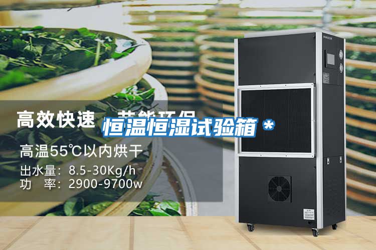 恒溫恒濕試驗箱*