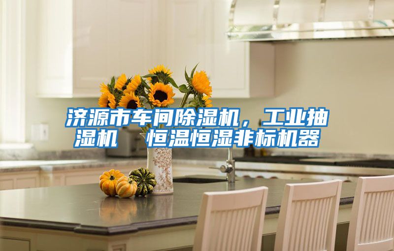 濟源市車間除濕機,工業抽濕機 恒溫恒濕非標機器