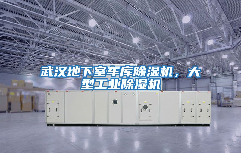 武漢地下室車庫除濕機，大型工業除濕機