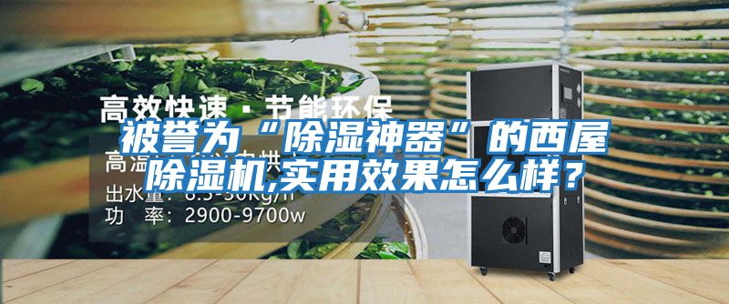 被譽(yù)為“除濕神器”的西屋除濕機(jī),實(shí)用效果怎么樣？