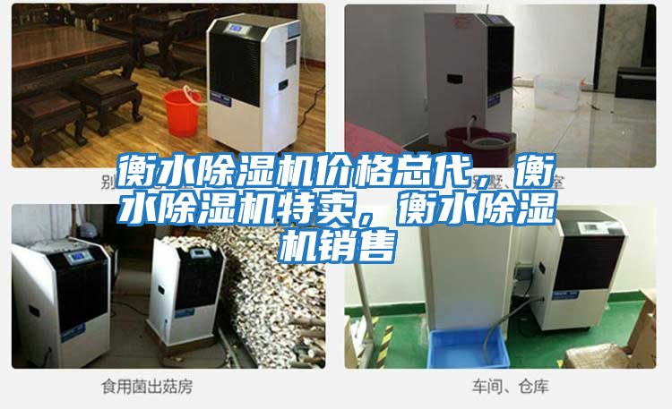 衡水除濕機價格總代，衡水除濕機特賣，衡水除濕機銷售