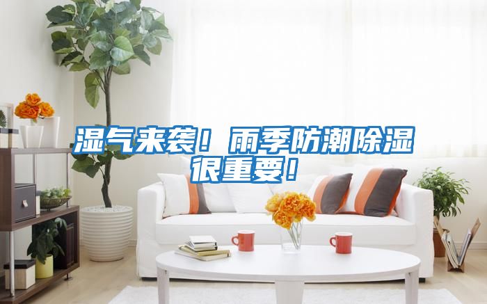 濕氣來襲!雨季防潮除濕很重要!