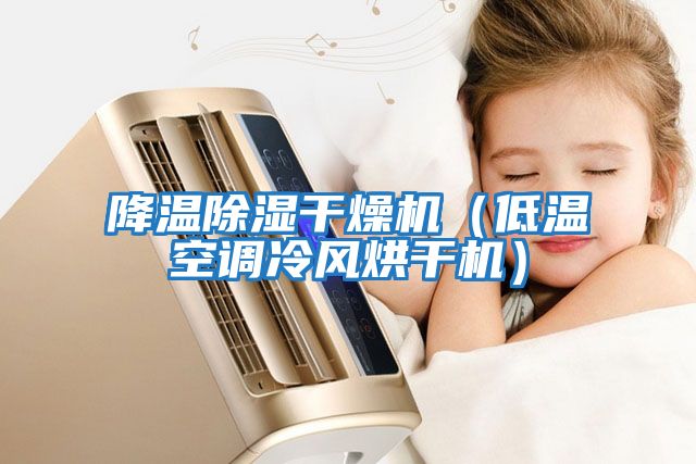 降溫除濕干燥機（低溫空調(diào)冷風(fēng)烘干機）