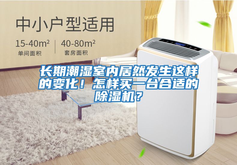 長期潮濕室內(nèi)居然發(fā)生這樣的變化！怎樣買一臺合適的除濕機？