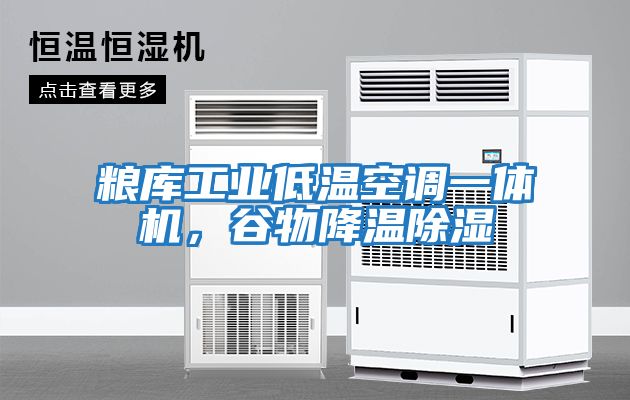 糧庫工業低溫空調一體機，谷物降溫除濕