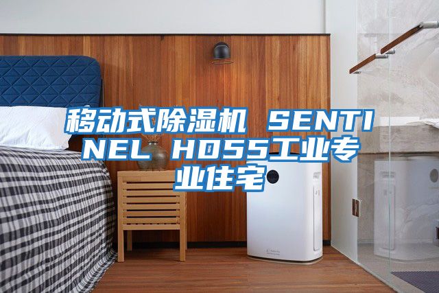 移動式除濕機(jī) SENTINEL HD55工業(yè)專業(yè)住宅