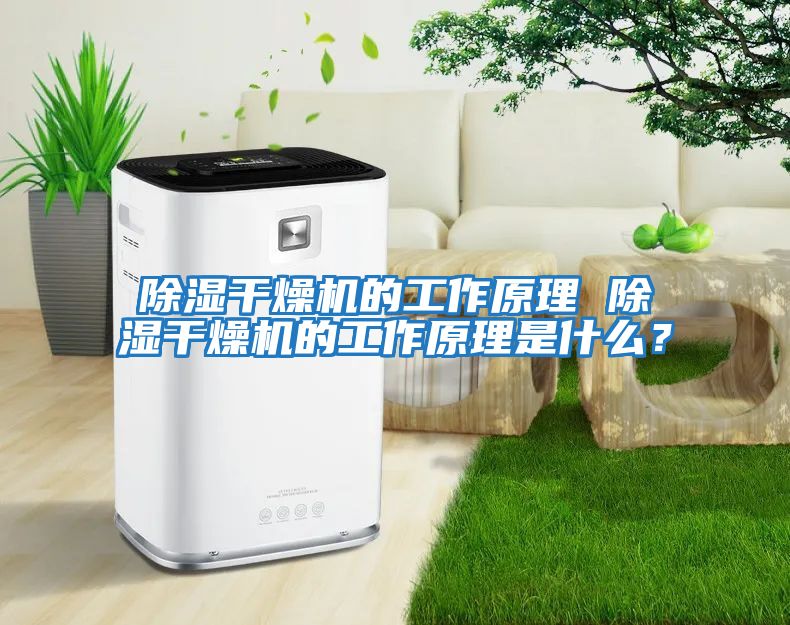 除濕干燥機的工作原理 除濕干燥機的工作原理是什么？