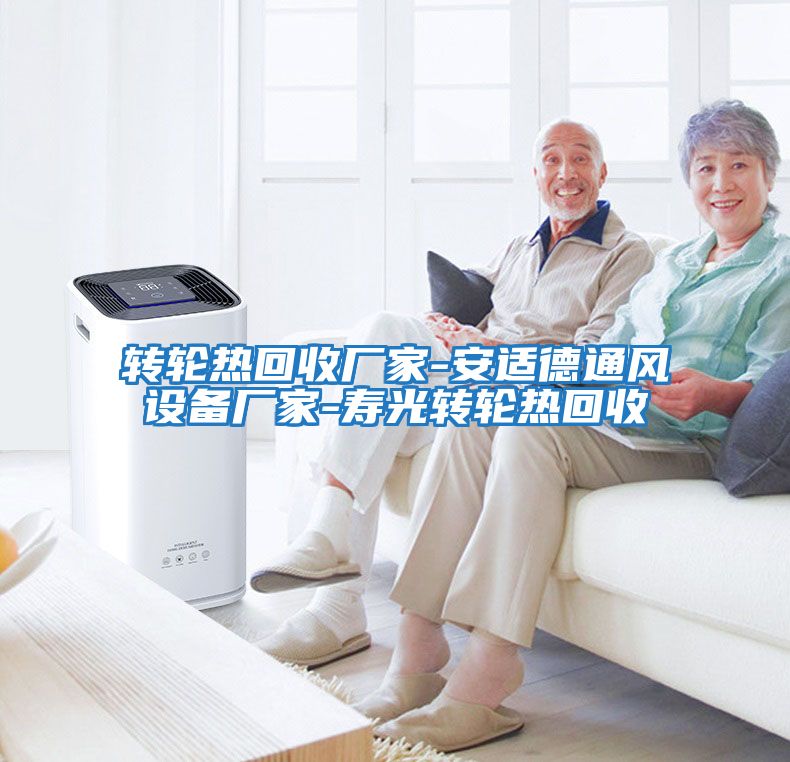 轉輪熱回收廠家-安適德通風設備廠家-壽光轉輪熱回收