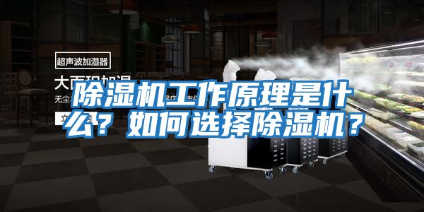 除濕機(jī)工作原理是什么？如何選擇除濕機(jī)？