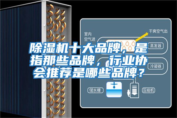 除濕機十大品牌，是指那些品牌，行業協會推薦是哪些品牌？