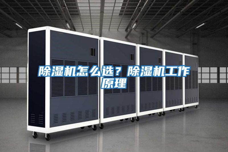 除濕機怎么選？除濕機工作原理