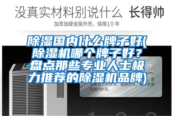 除濕國內什么牌子好(除濕機哪個牌子好？盤點那些專業人士極力推薦的除濕機品牌)