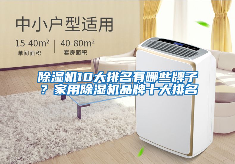 除濕機10大排名有哪些牌子？家用除濕機品牌十大排名