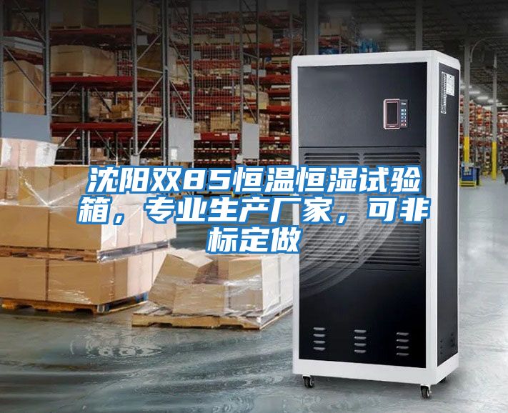 沈陽(yáng)雙85恒溫恒濕試驗(yàn)箱，專業(yè)生產(chǎn)廠家，可非標(biāo)定做