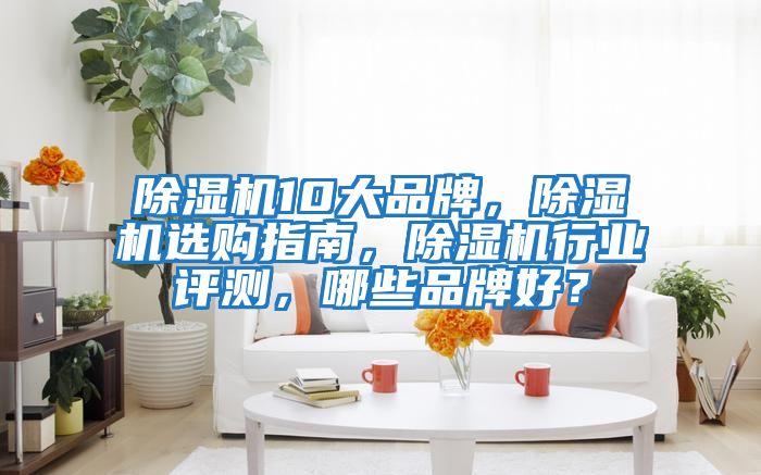 除濕機10大品牌，除濕機選購指南，除濕機行業(yè)評測，哪些品牌好？