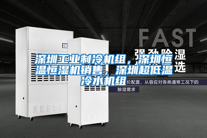 深圳工業(yè)制冷機組，深圳恒溫恒濕機銷售，深圳超低溫冷水機組