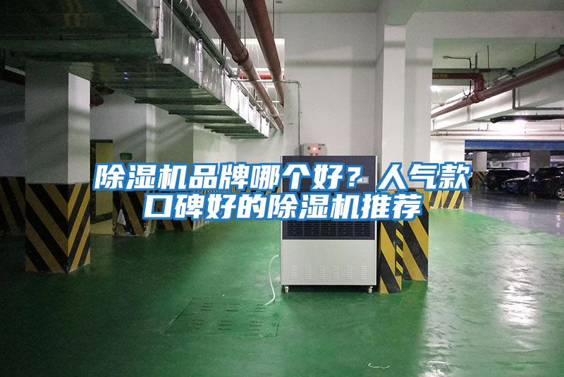除濕機品牌哪個好？人氣款口碑好的除濕機推薦