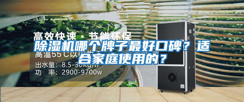 除濕機哪個牌子最好口碑？適合家庭使用的？
