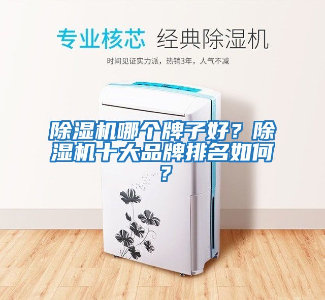 除濕機哪個牌子好？除濕機十大品牌排名如何？