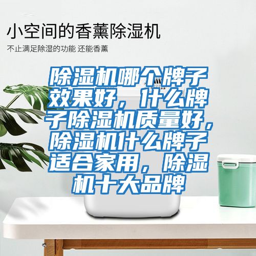 除濕機哪個牌子效果好，什么牌子除濕機質量好，除濕機什么牌子適合家用，除濕機十大品牌
