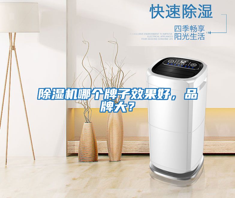 除濕機哪個牌子效果好，品牌大？