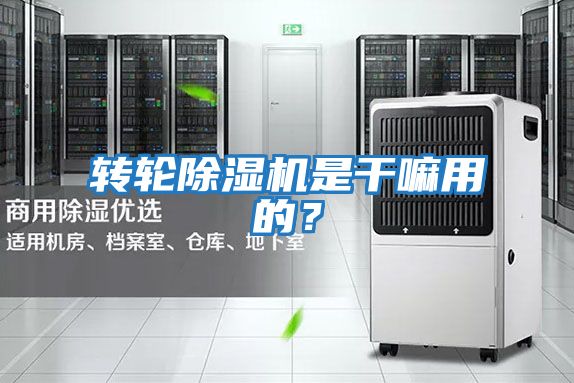 轉(zhuǎn)輪除濕機(jī)是干嘛用的？