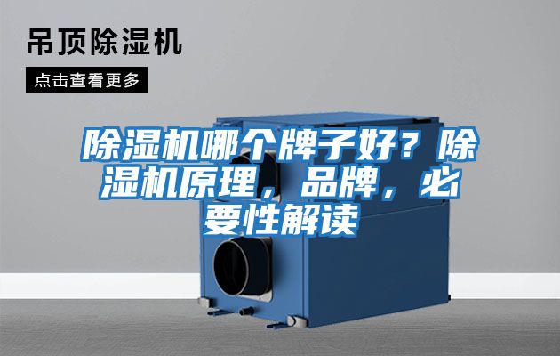 除濕機哪個牌子好？除濕機原理，品牌，必要性解讀