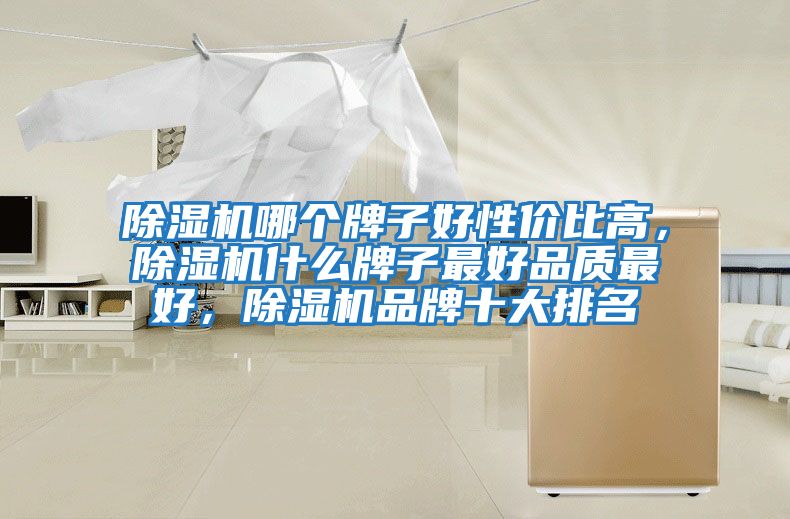 除濕機(jī)哪個(gè)牌子好性價(jià)比高，除濕機(jī)什么牌子最好品質(zhì)最好，除濕機(jī)品牌十大排名