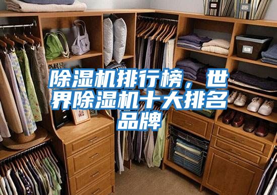 除濕機排行榜，世界除濕機十大排名品牌