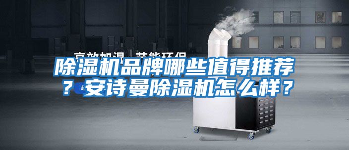 除濕機品牌哪些值得推薦？安詩曼除濕機怎么樣？