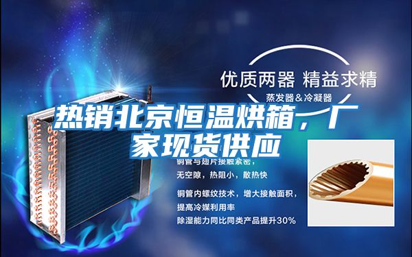 熱銷北京恒溫烘箱，廠家現貨供應