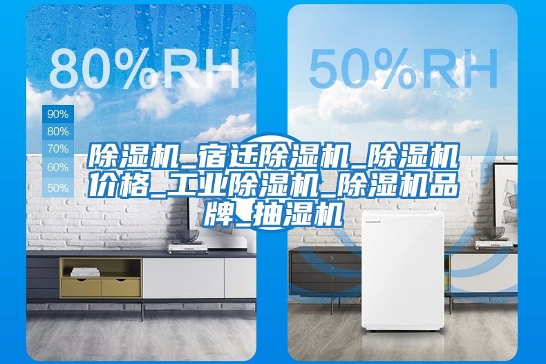 除濕機(jī)_宿遷除濕機(jī)_除濕機(jī)價格_工業(yè)除濕機(jī)_除濕機(jī)品牌_抽濕機(jī)