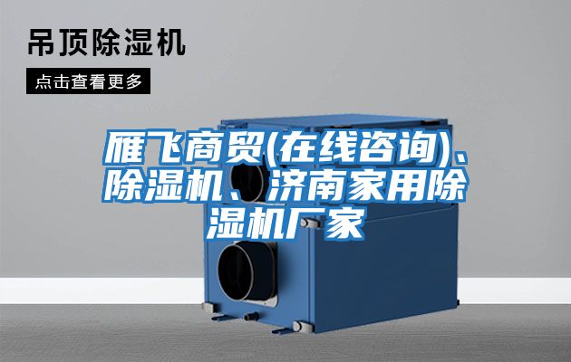 雁飛商貿(mào)(在線咨詢)、除濕機(jī)、濟(jì)南家用除濕機(jī)廠家