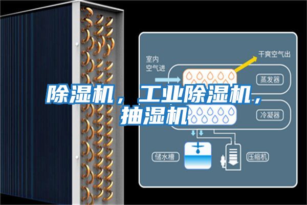 除濕機，工業(yè)除濕機，抽濕機