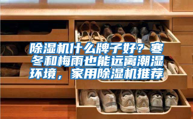 除濕機什么牌子好？寒冬和梅雨也能遠離潮濕環境，家用除濕機推薦