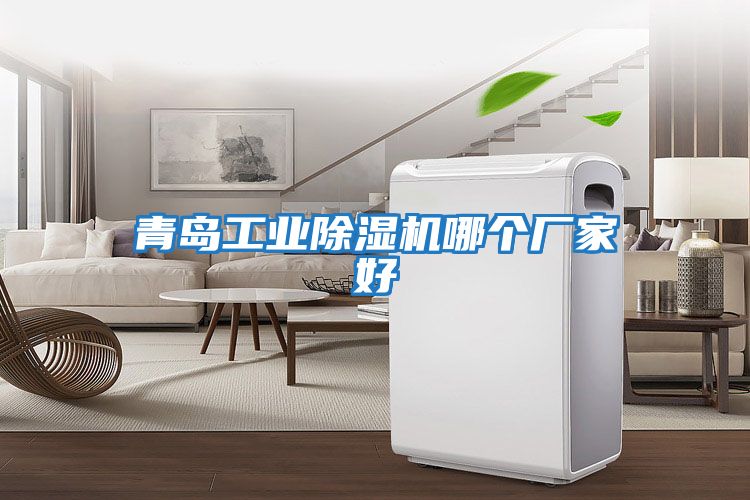 青島工業(yè)除濕機(jī)哪個(gè)廠家好