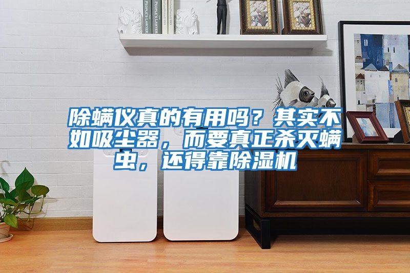 除螨儀真的有用嗎？其實不如吸塵器，而要真正殺滅螨蟲，還得靠除濕機