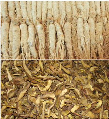 中藥材烘干處理解決方案