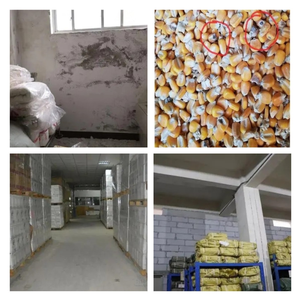 稿定設(shè)計導出-20211214-141923